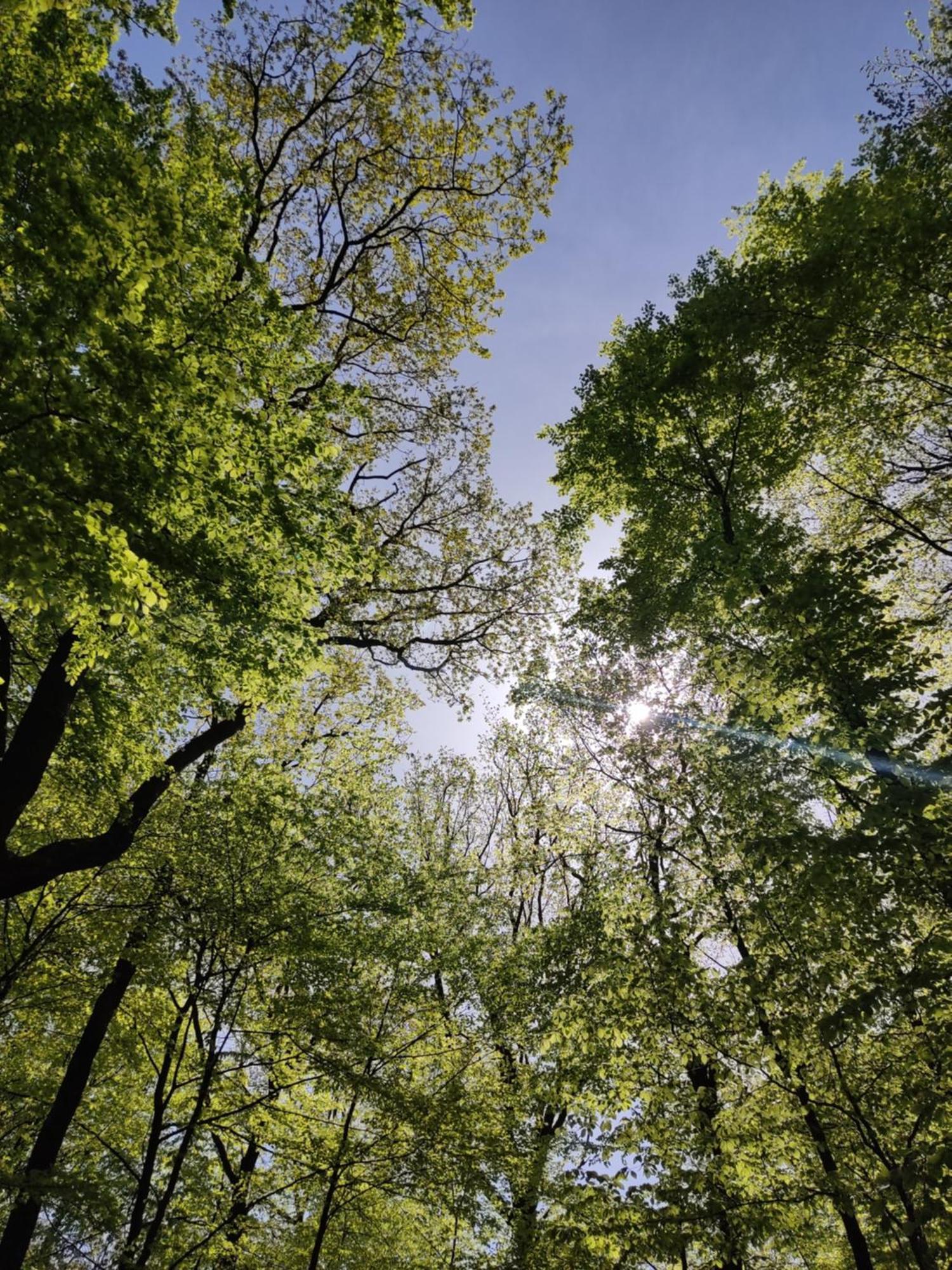 Ferienhaus Moehnetal Allagen 外观 照片